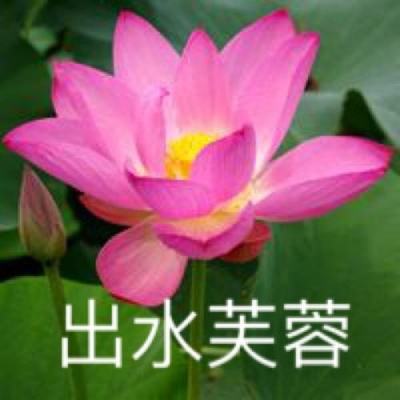 无限挂机正式版下载